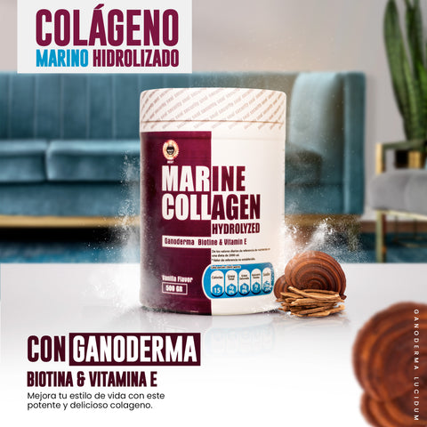 Colágeno Marino Hidrolizado con Ganoderma