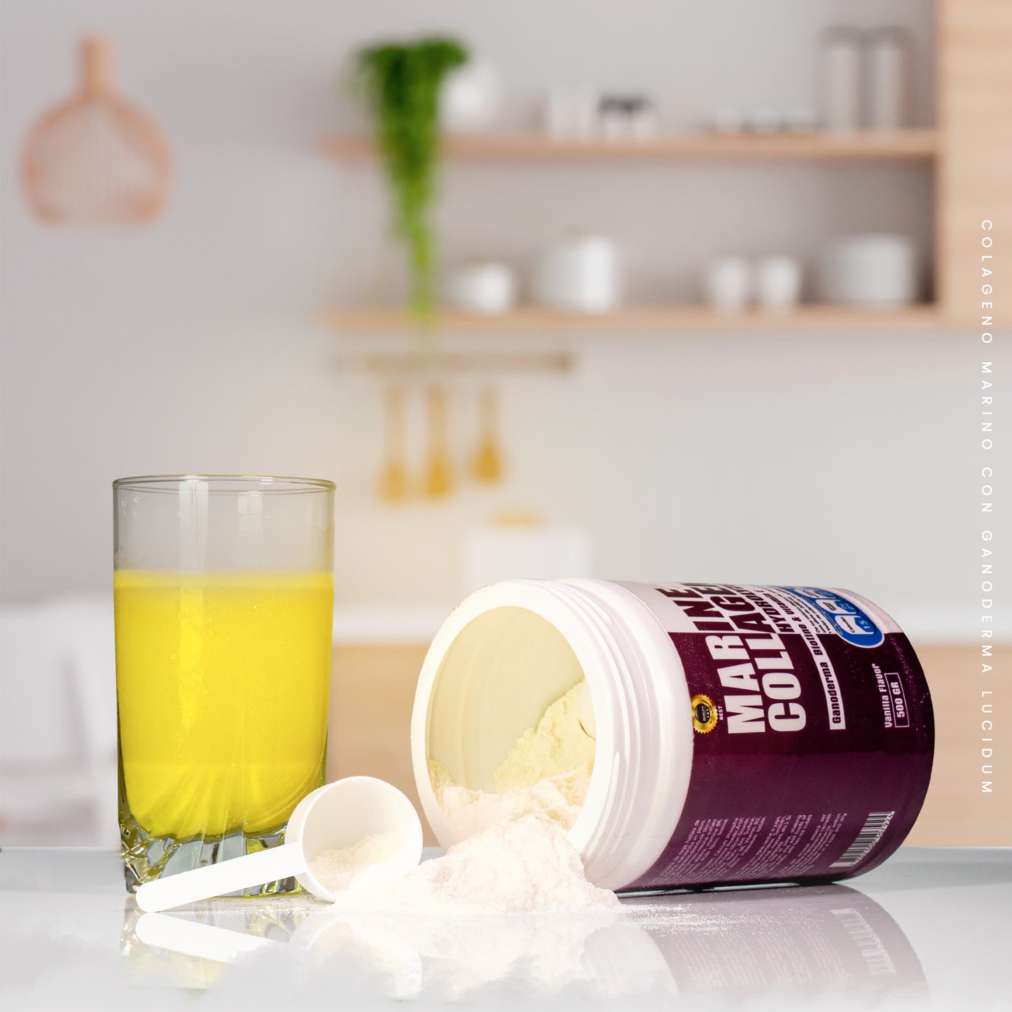 Colágeno Marino Hidrolizado con Ganoderma