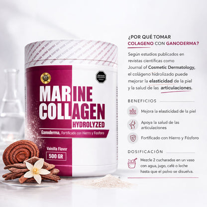 Colágeno Marino Hidrolizado con Ganoderma