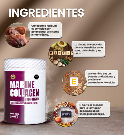 Colágeno Marino Hidrolizado con Ganoderma