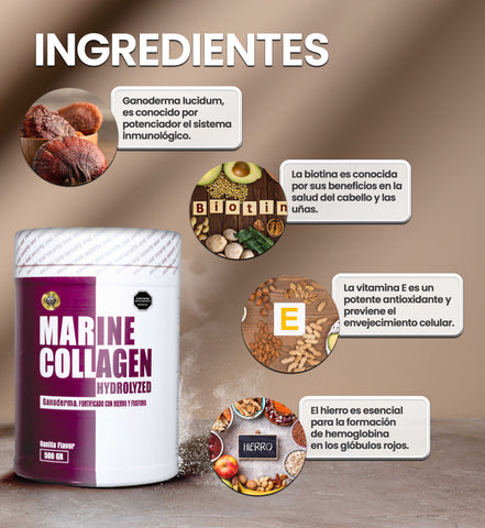 Colágeno Marino Hidrolizado con Ganoderma